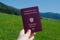 Sujet_ Glühbirne, Stoß Münzen und eine kleine Pflanze