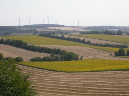 Ökologie/Bodenschutz 