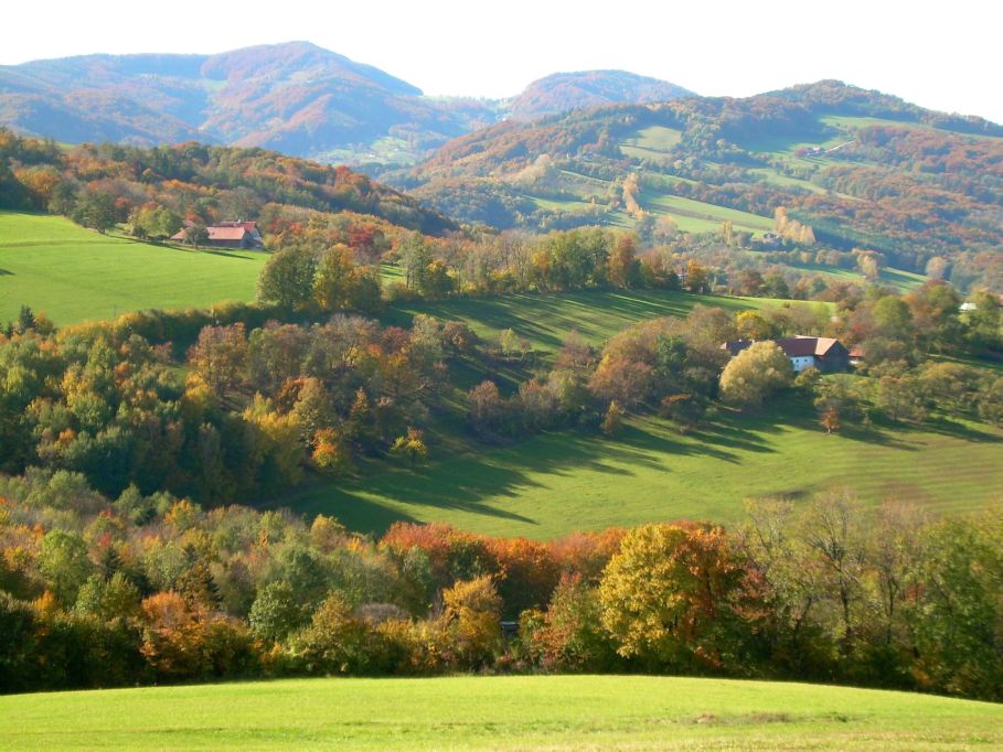 Blick auf den Wienerwald