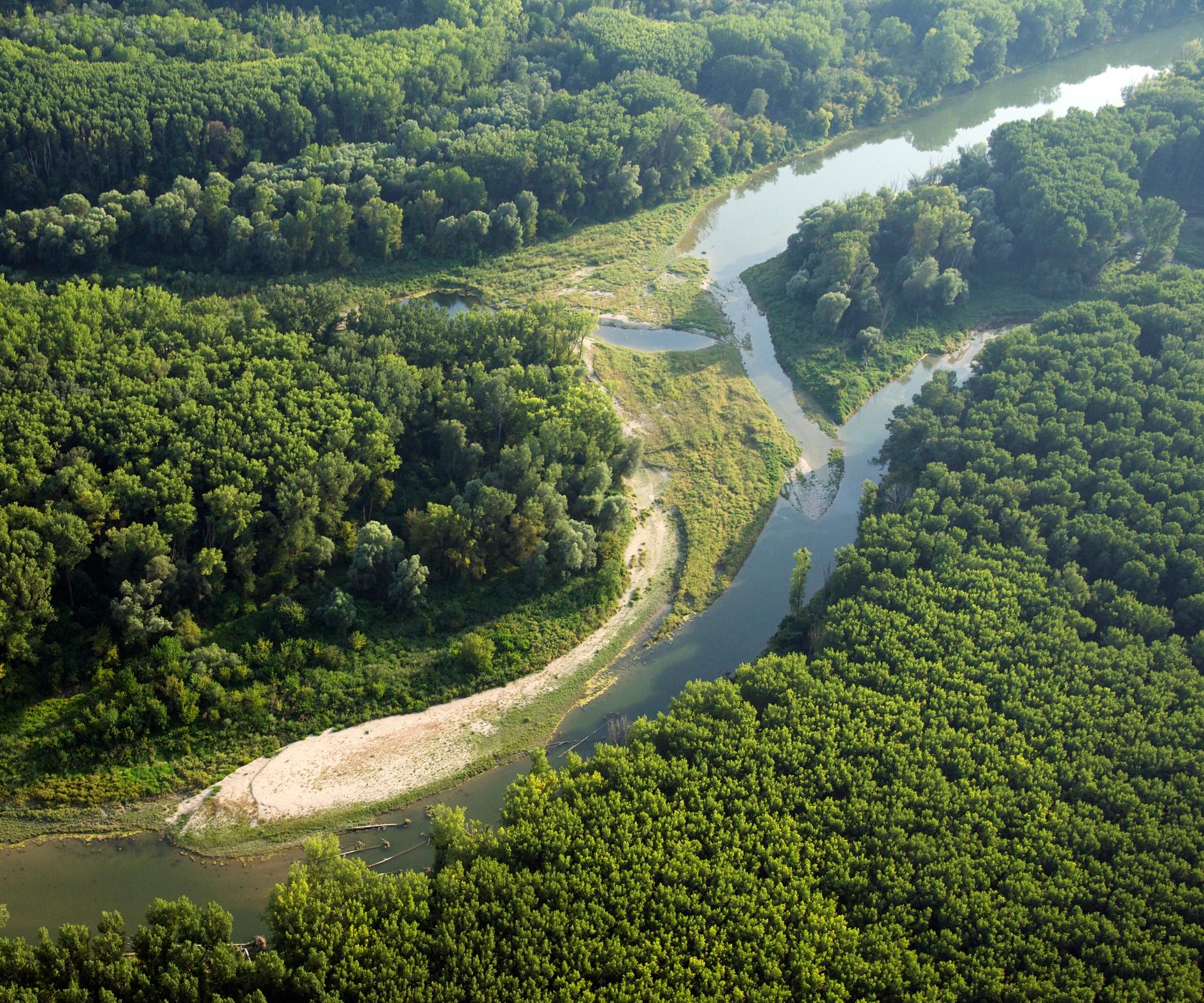 Donau-Auen