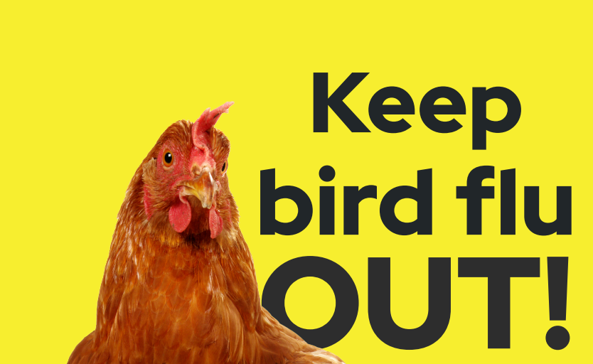 Sujet Keep birdflu out
